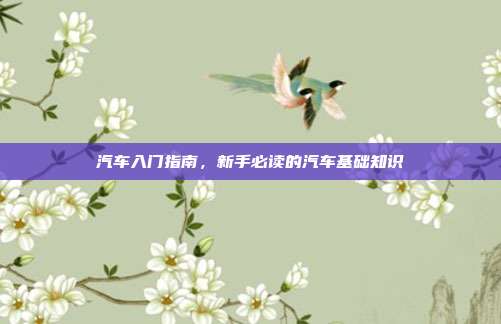 汽车入门指南，新手必读的汽车基础知识