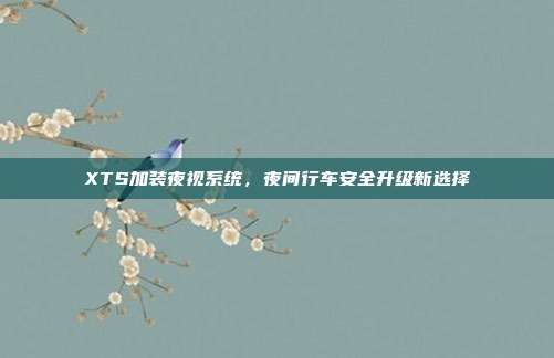 XTS加装夜视系统，夜间行车安全升级新选择