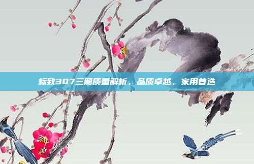 标致307三厢质量解析，品质卓越，家用首选