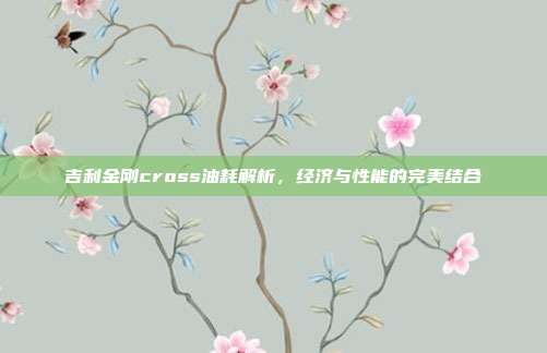 吉利金刚cross油耗解析，经济与性能的完美结合