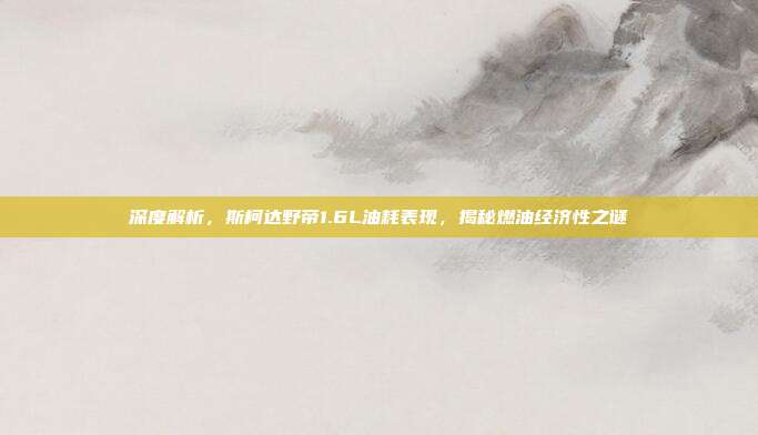 深度解析，斯柯达野帝1.6L油耗表现，揭秘燃油经济性之谜