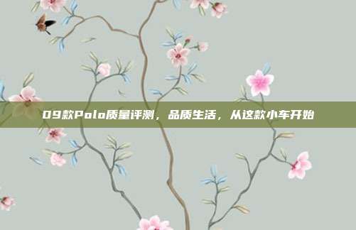 09款Polo质量评测，品质生活，从这款小车开始