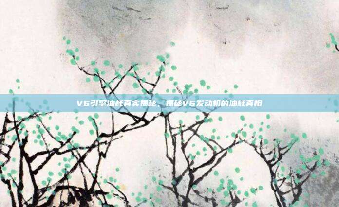 V6引擎油耗真实揭秘，揭秘V6发动机的油耗真相