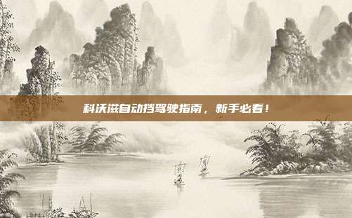 科沃滋自动挡驾驶指南，新手必看！