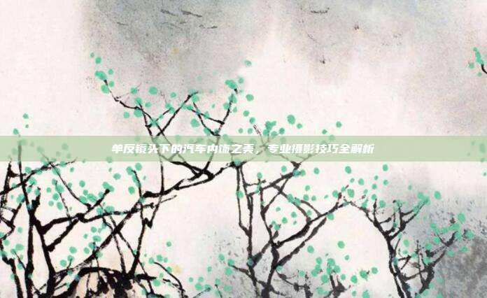 单反镜头下的汽车内饰之美，专业摄影技巧全解析