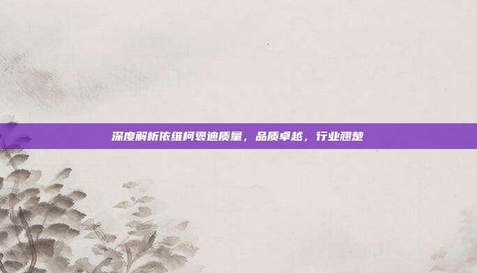 深度解析依维柯褒迪质量，品质卓越，行业翘楚