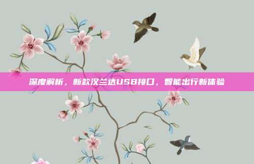 深度解析，新款汉兰达USB接口，智能出行新体验