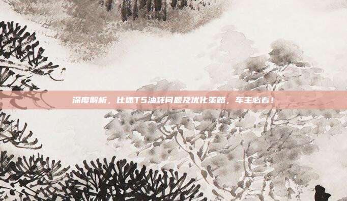 深度解析，比速T5油耗问题及优化策略，车主必看！