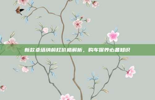 新款桑塔纳前杠价格解析，购车保养必备知识