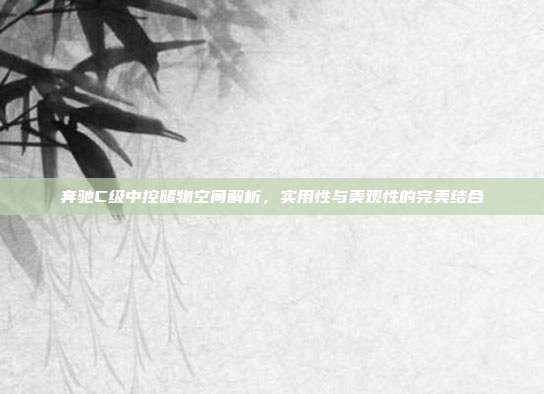 奔驰C级中控储物空间解析，实用性与美观性的完美结合
