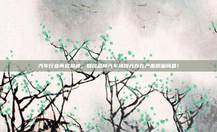 汽车行业再掀风波，知名品牌汽车被曝光存在严重质量问题！
