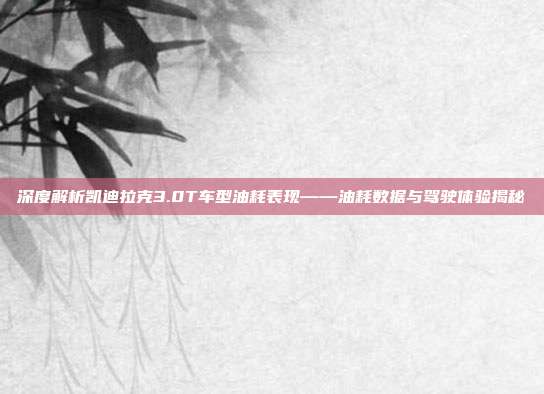 深度解析凯迪拉克3.0T车型油耗表现——油耗数据与驾驶体验揭秘
