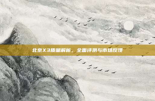北京X3质量解析，全面评测与市场反馈