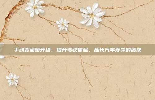 手动变速箱升级，提升驾驶体验，延长汽车寿命的秘诀