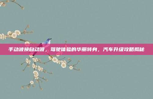 手动波换自动波，驾驶体验的华丽转身，汽车升级攻略揭秘