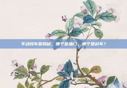 手动挡车型揭秘，哪个是油门，哪个是刹车？