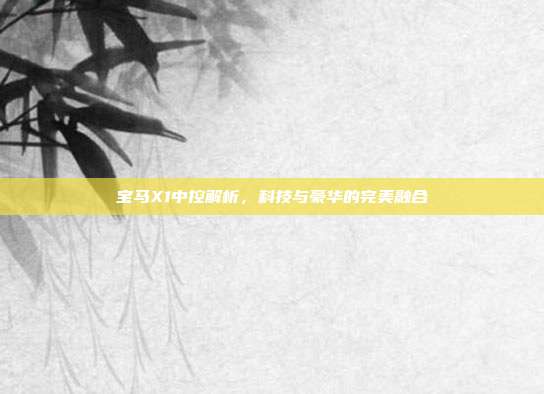 宝马X1中控解析，科技与豪华的完美融合