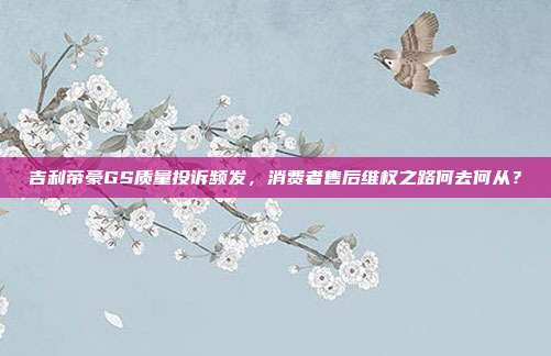 吉利帝豪GS质量投诉频发，消费者售后维权之路何去何从？