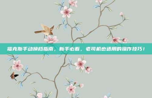 福克斯手动换档指南，新手必看，老司机也适用的操作技巧！