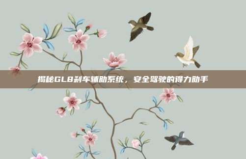 揭秘GL8刹车辅助系统，安全驾驶的得力助手