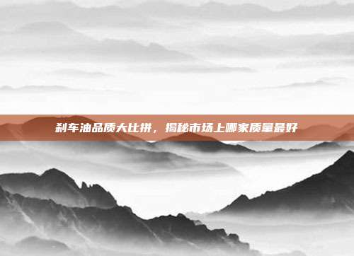 刹车油品质大比拼，揭秘市场上哪家质量最好