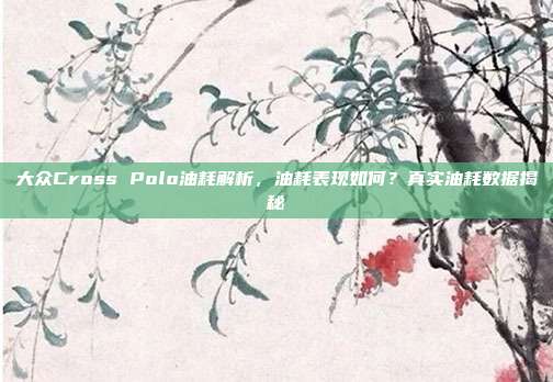大众Cross Polo油耗解析，油耗表现如何？真实油耗数据揭秘