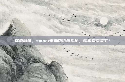 深度解析，smart电动版价格揭秘，购车指南来了！