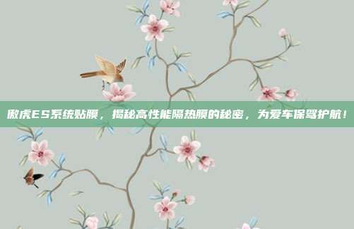 傲虎ES系统贴膜，揭秘高性能隔热膜的秘密，为爱车保驾护航！