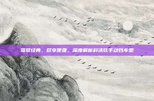 驾驭经典，尽享便捷，深度解析科沃兹手动挡车型