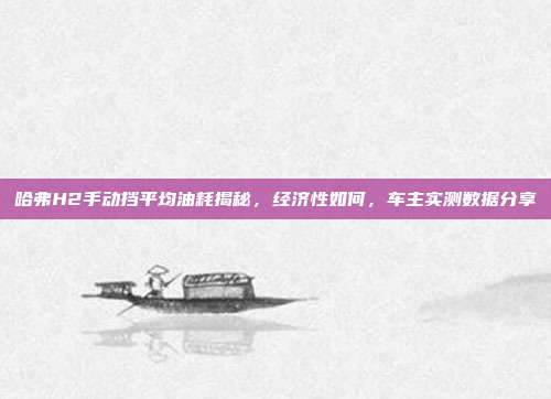 哈弗H2手动挡平均油耗揭秘，经济性如何，车主实测数据分享