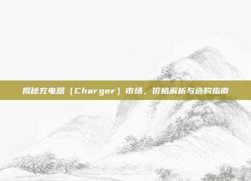 揭秘充电器（Charger）市场，价格解析与选购指南