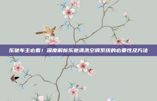 乐驰车主必看！深度解析乐驰清洗空调系统的必要性及方法