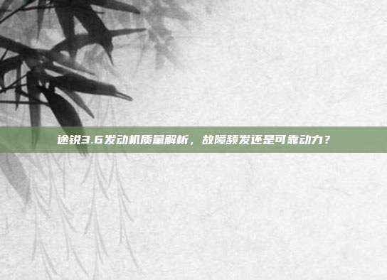 途锐3.6发动机质量解析，故障频发还是可靠动力？