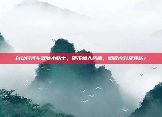 自动挡汽车驾驶小贴士，硬币掉入挡槽，如何应对及预防？