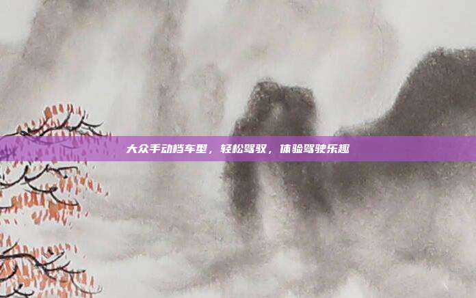 大众手动档车型，轻松驾驭，体验驾驶乐趣