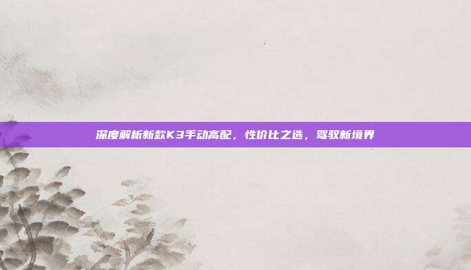 深度解析新款K3手动高配，性价比之选，驾驭新境界
