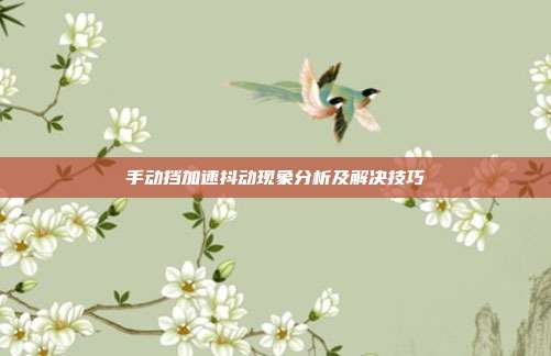 手动挡加速抖动现象分析及解决技巧