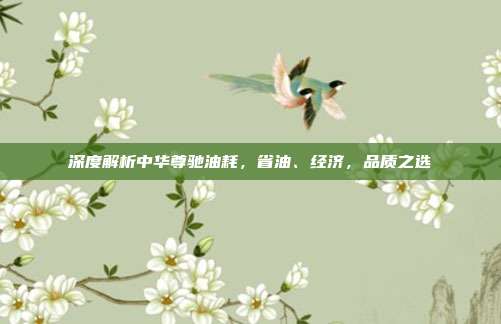 深度解析中华尊驰油耗，省油、经济，品质之选