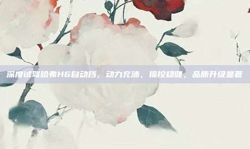 深度试驾哈弗H6自动挡，动力充沛，操控稳健，品质升级显著