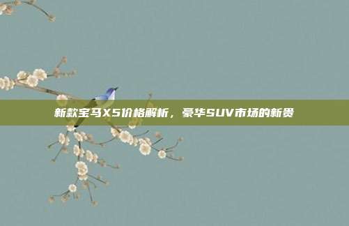 新款宝马X5价格解析，豪华SUV市场的新贵