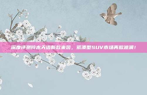 深度评测铃木天语新款来袭，紧凑型SUV市场再掀波澜！
