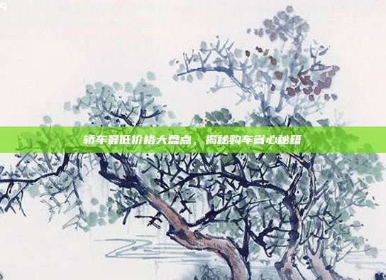 轿车最低价格大盘点，揭秘购车省心秘籍