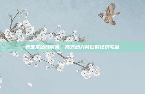 新宝来油耗解析，高效动力背后的经济考量