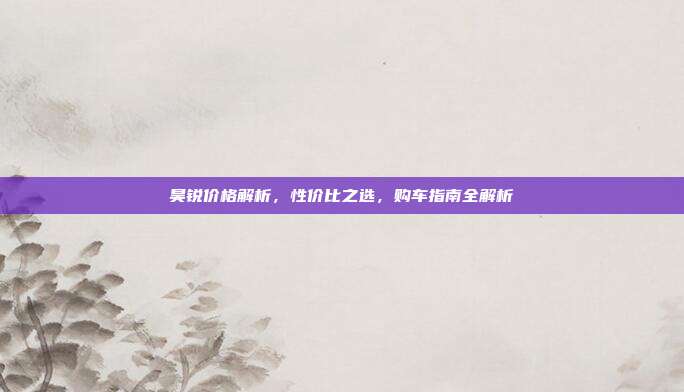 昊锐价格解析，性价比之选，购车指南全解析