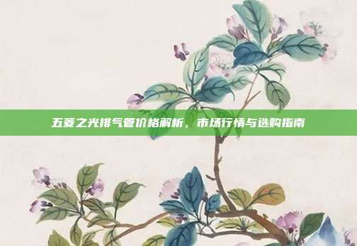 五菱之光排气管价格解析，市场行情与选购指南