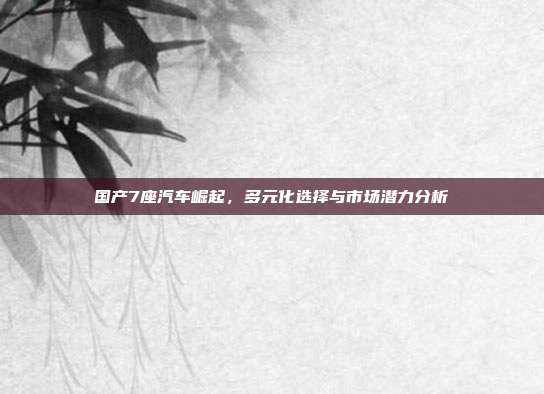 国产7座汽车崛起，多元化选择与市场潜力分析