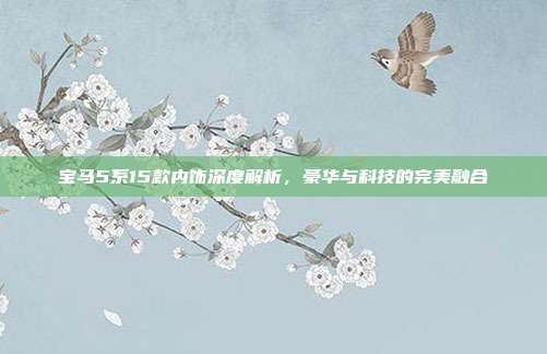 宝马5系15款内饰深度解析，豪华与科技的完美融合