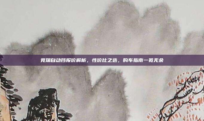 竞瑞自动挡报价解析，性价比之选，购车指南一览无余