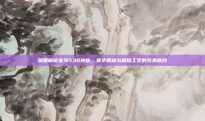 深度解析宝马530内饰，豪华质感与精致工艺的完美融合