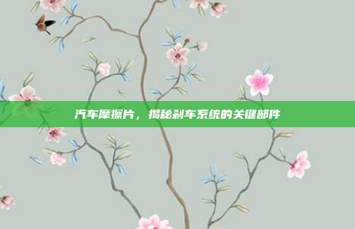 汽车摩擦片，揭秘刹车系统的关键部件
